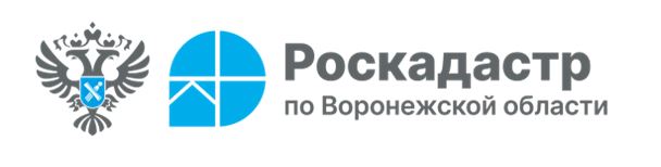 Пресс-служба филиала ППК «Роскадастр» по Воронежской области.